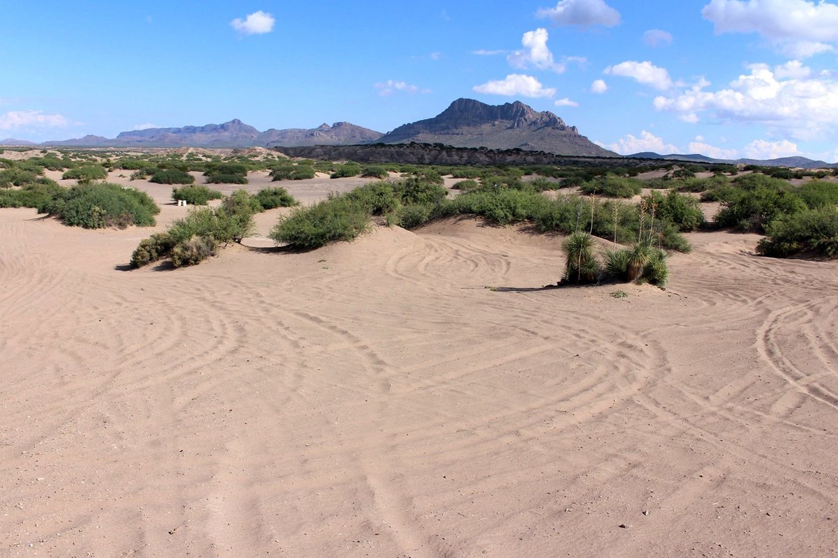 Sandy rolling terrain, desert scrub, and distant mountains at Hot Well Dunes Recreation Area